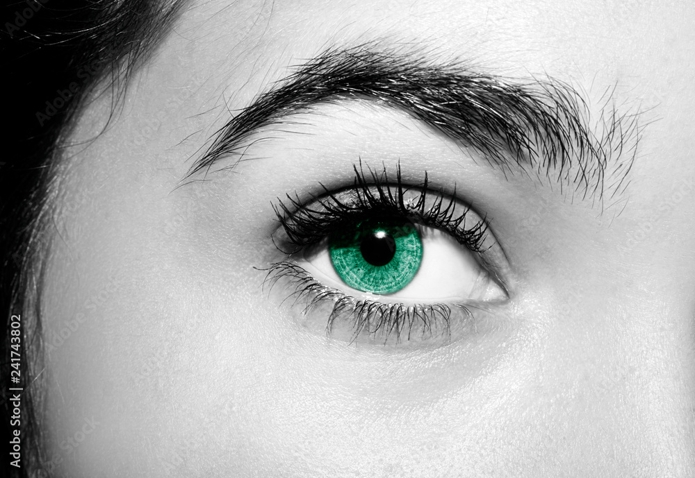 A beautiful insightful look woman's eye. Close up shot. A beautiful insightful look woman's eye. Close up shot.