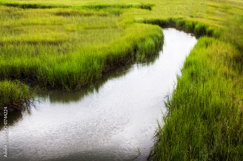 salt marsh at Shem Creek in Mount Pleasant South Carolina photo