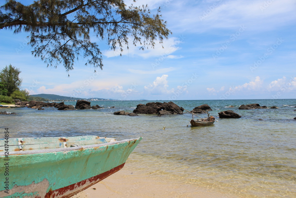 Fototapeta premium Sea Life