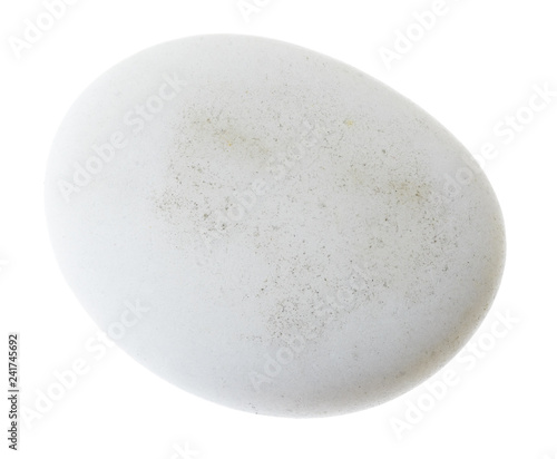 tumbled Cacholong gemstone on white photo