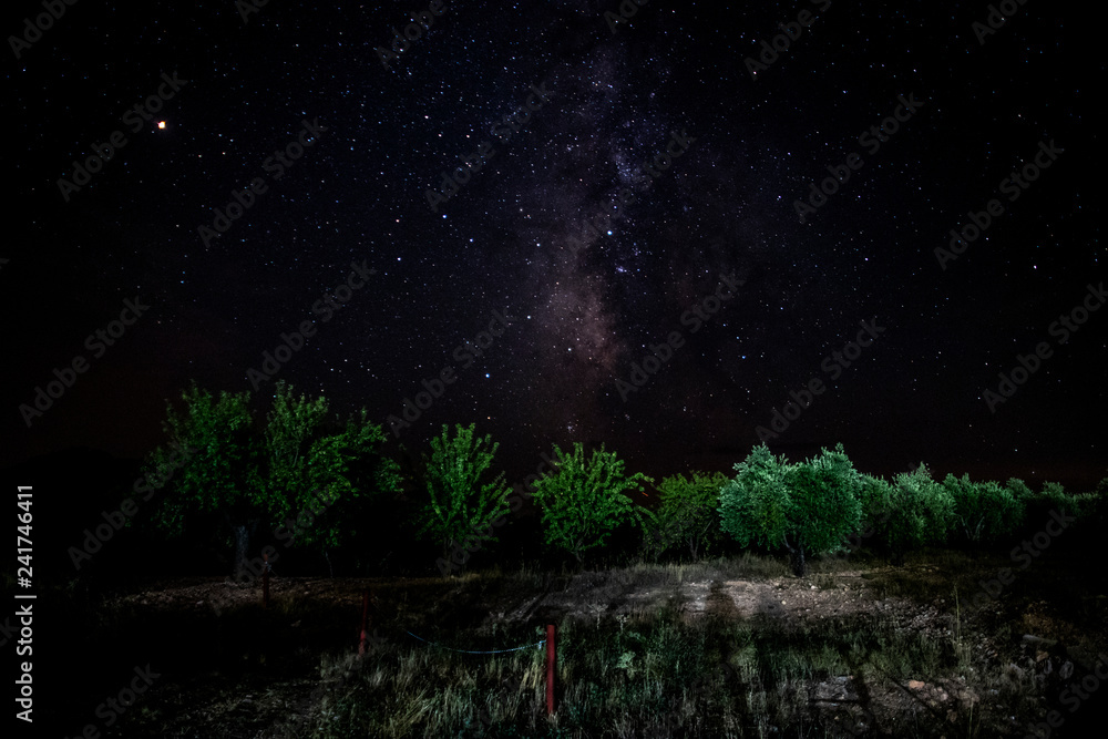 Naklejka premium Campo de estrellas