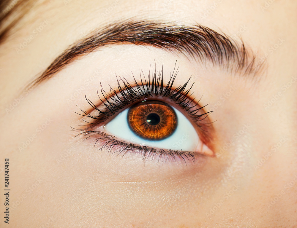 A beautiful insightful look woman's eye. Close up shot A beautiful insightful look woman's eye. Close up shot