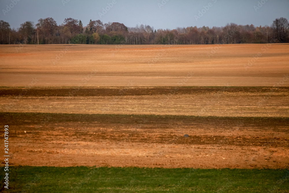 Plowed field in spring season.