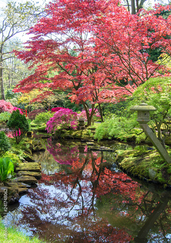 Japanese garden in spring with pink and red trees and a pond