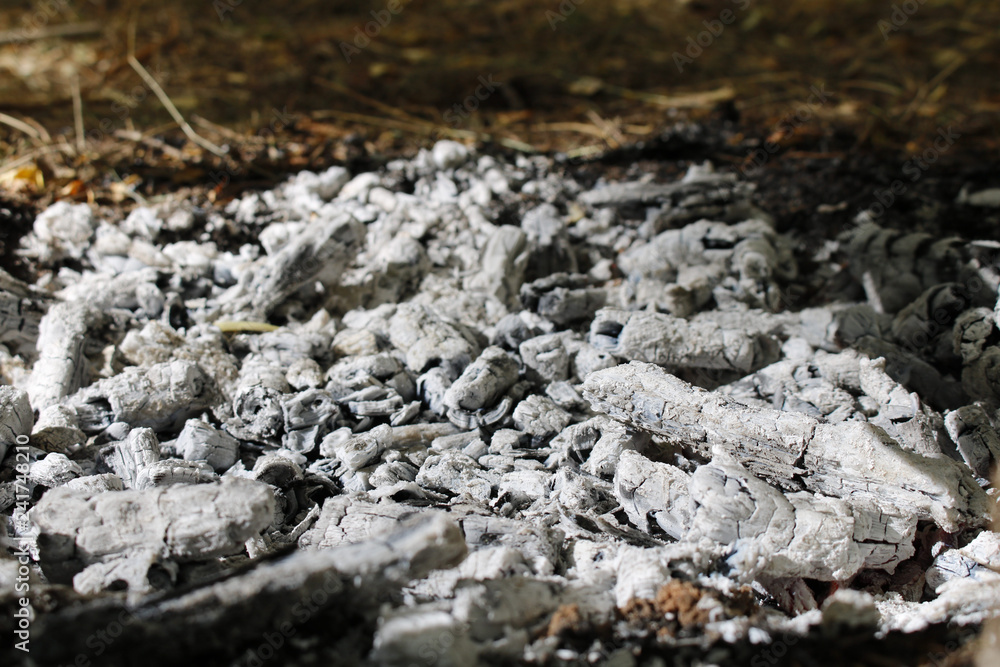 Pile of ashes after the fire went out. Pile of ashes after the fire went out.