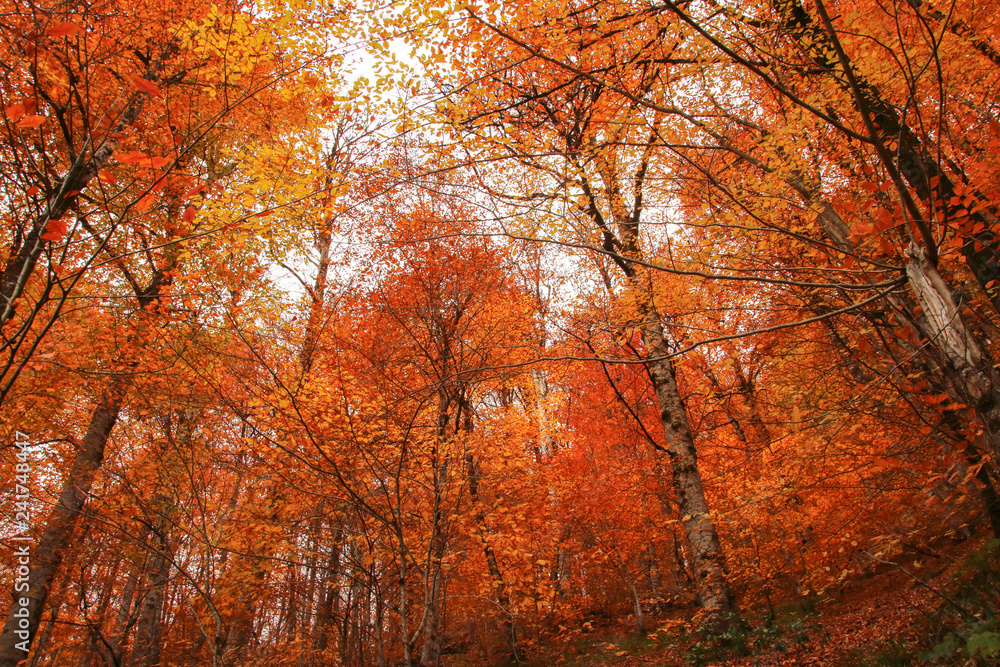 seven Lakes National Park, Autumn, Turkey seven Lakes National Park, Autumn, Turkey