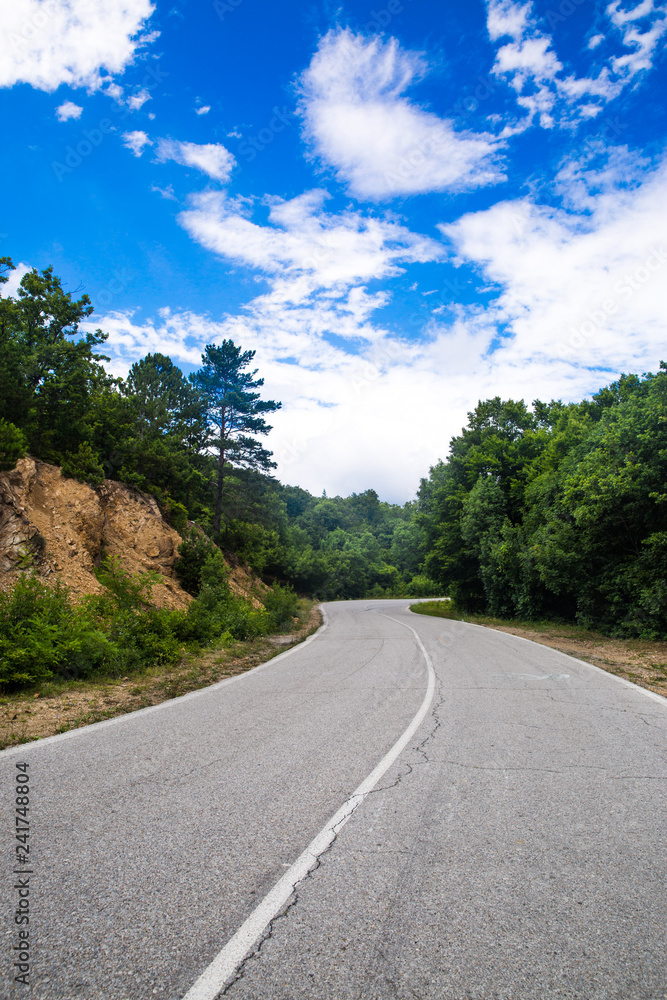 Empty highway road in the forest.