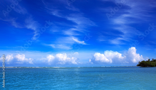 Trees on white tropical beach. Travel background.