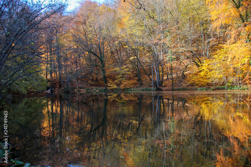 seven Lakes National Park, Autumn, Turkey