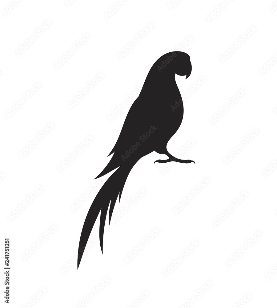 Parrot macaw silhouette. Isolated parrot on white background