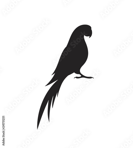 Parrot macaw silhouette. Isolated parrot on white background
