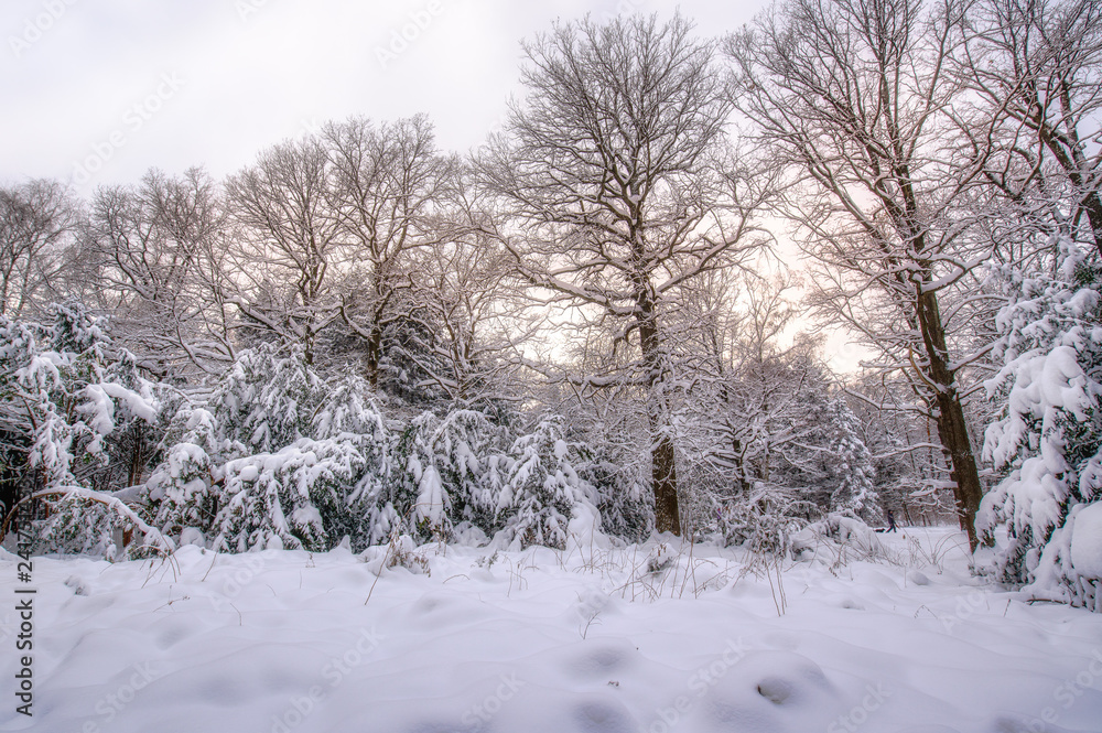After snow storm After snow storm