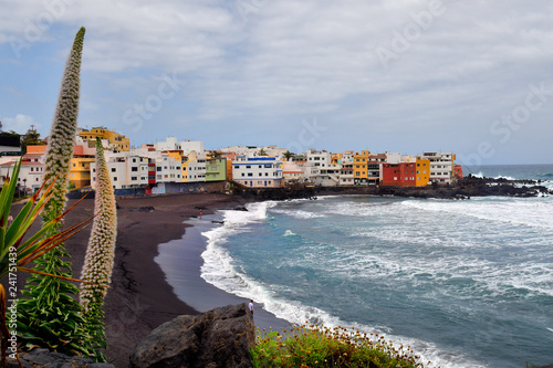 Spain, Canary Islands, Tenerife photo