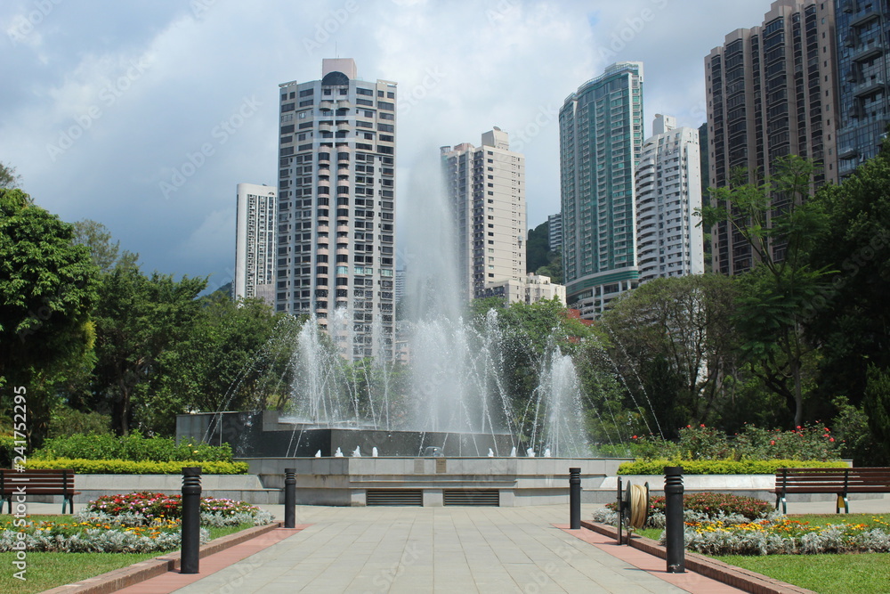 Fototapeta premium Natural Office