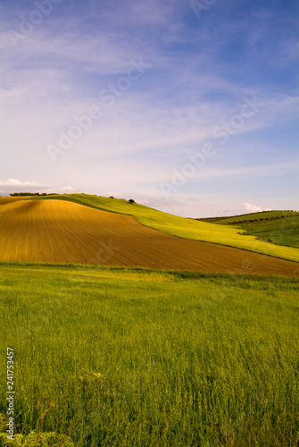 Hilly landscape at early spring, Puglia, Italy