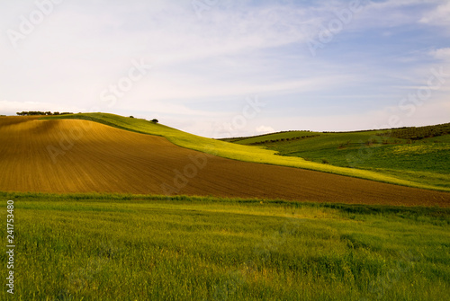 Hilly landscape at early spring, Puglia, Italy