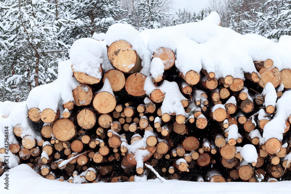 Winter, cold, snowing. Forest sawn for processing. Stacked in a pile. snow is poured Winter, cold, snowing. Forest sawn for processing. Stacked in a pile. snow is poured