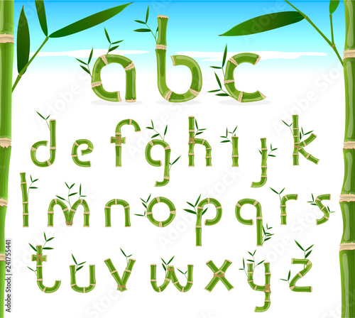Bamboo eco alphabet, exotic tropical vector font
