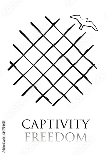 freedom and captivity