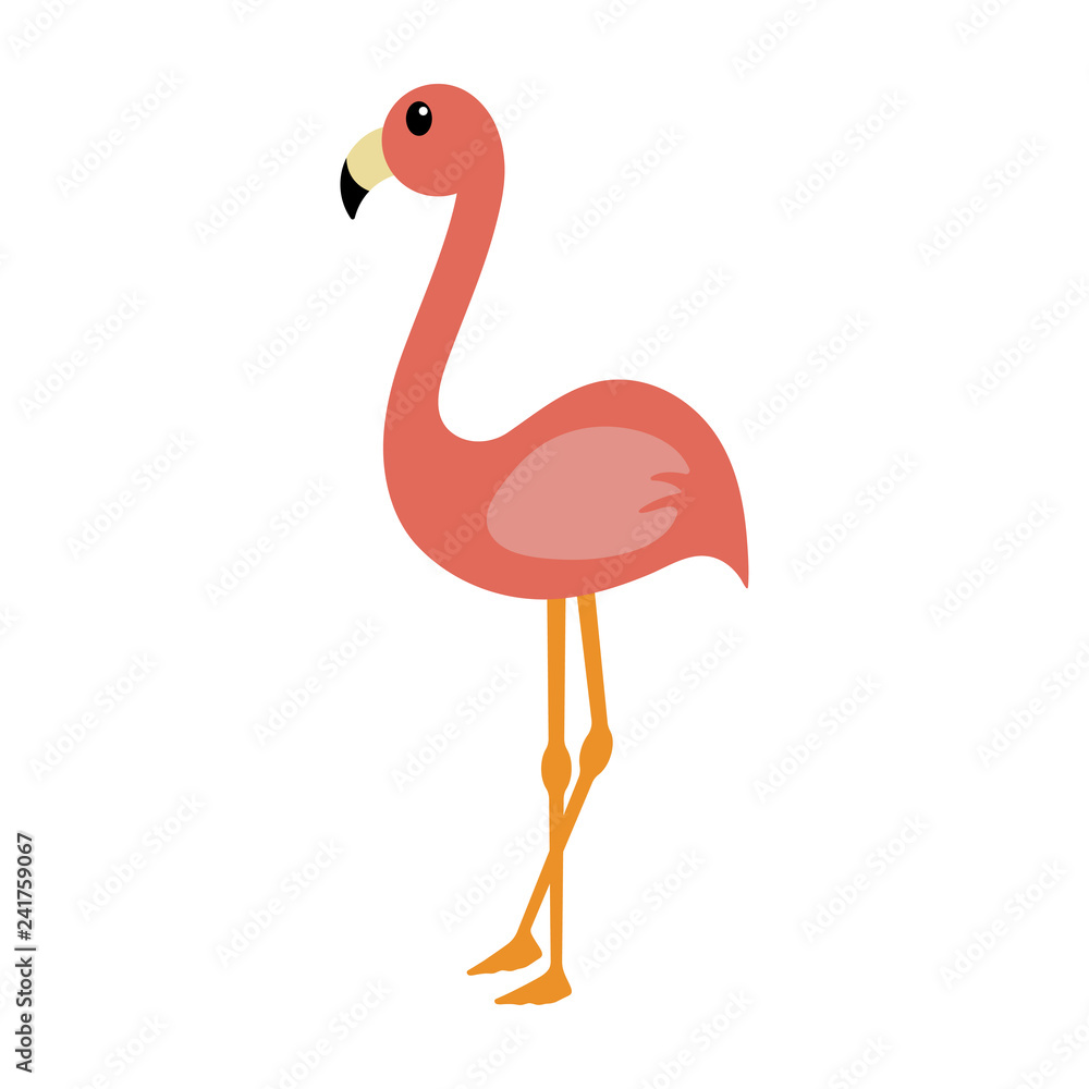 Pink Flamingo - Cute salmon pink flamingo illustration isolated on white background