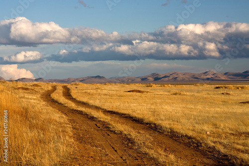 JANOS, CHIHUAHUA, MEXICO: Janos Grasslands are some of the most intact grasslands in Mexico.