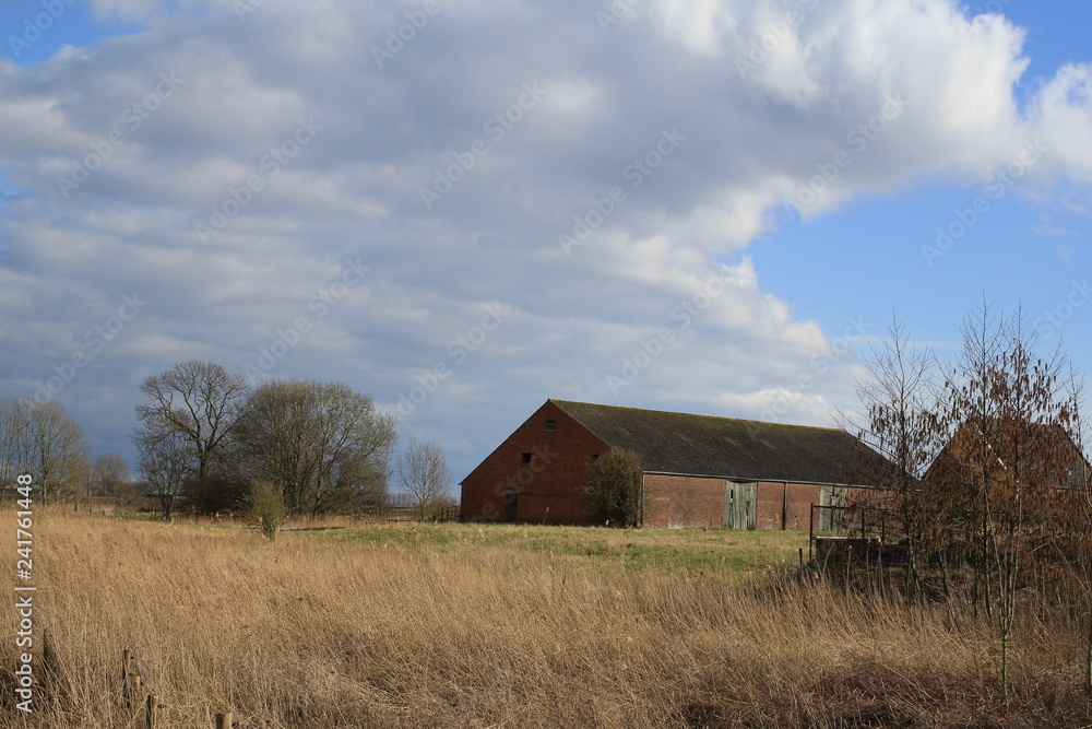 Obraz premium a barn of an old farm in the countryside in holland with reed beds, grass and trees in winter