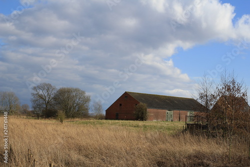 a barn of an old farm in the countryside in holland with reed beds, grass and trees in winter