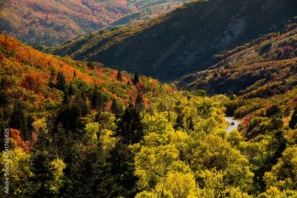 Uinta National Forest, Mt. Nebo Loop Scenic Byway, Utah. Uinta National Forest, Mt. Nebo Loop Scenic Byway, Utah.