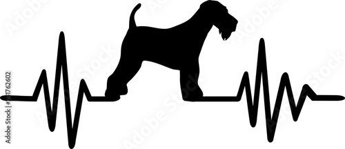 Airedale Terrier heartbeat