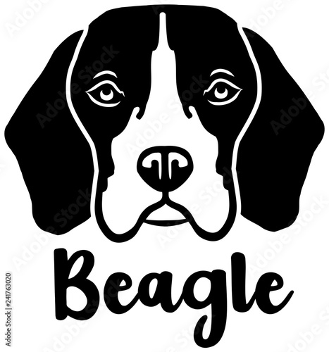 Beagle head black and white