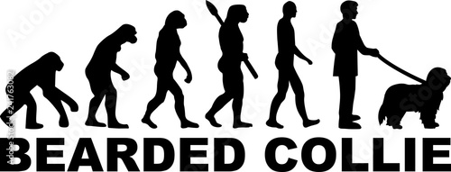 Bearded Collie evolution word