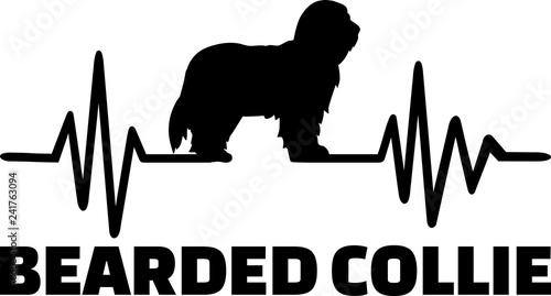 Bearded Collie heartbeat word