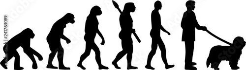 Bearded Collie evolution