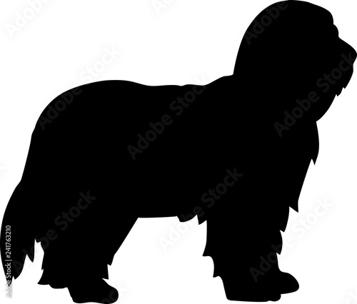 Bearded Collie silhouette black