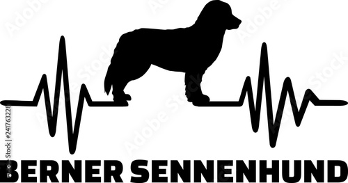 Bernese Mountain frequence german