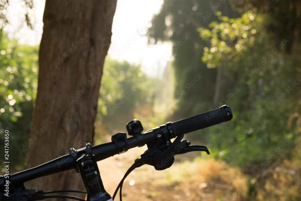Handlebar Assembly with Front Black Bike Light Illuminated Shining Brightly in front of Forest at Sunset Handlebar Assembly with Front Black Bike Light Illuminated Shining Brightly in front of Forest at Sunset
