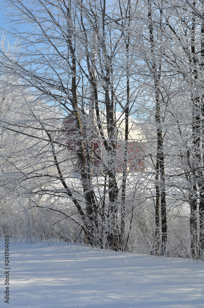Winter Ice Storm Winter Ice Storm