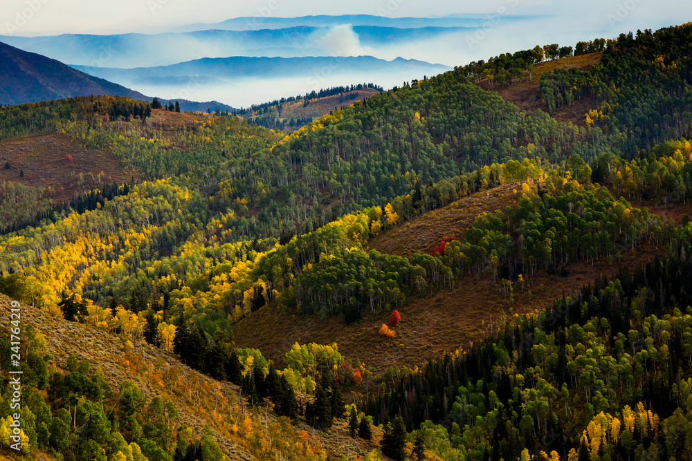 Uinta National Forest, Mt. Nebo Loop Scenic Byway, Utah. Uinta National Forest, Mt. Nebo Loop Scenic Byway, Utah.