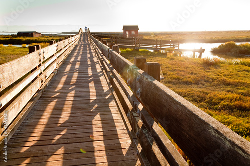 Don Edwards San Francisco Bay National Wildlife Refuge, Fremont, California.