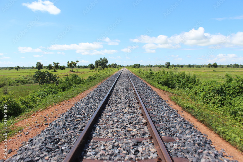 bamboo train 