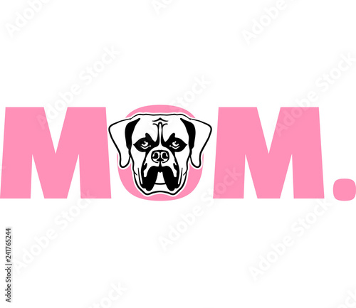 Boxer mom in pink