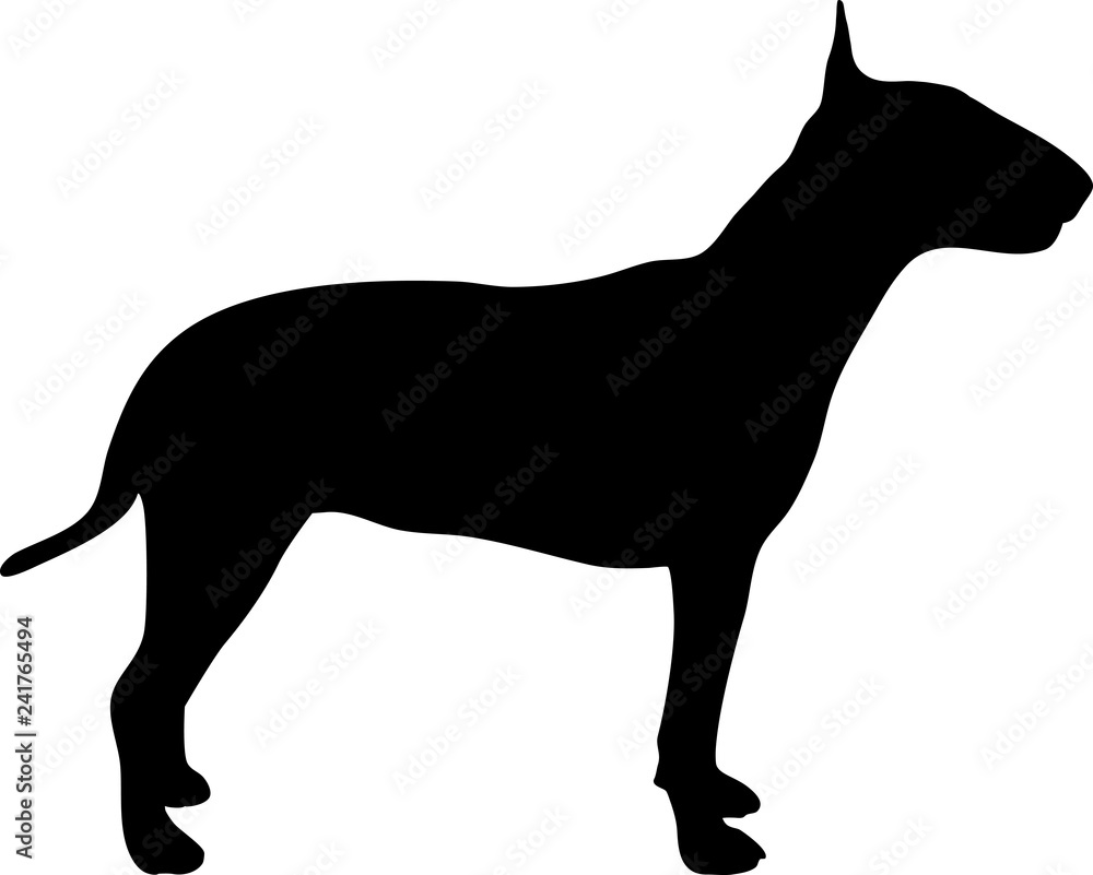Bull terrier silhouette