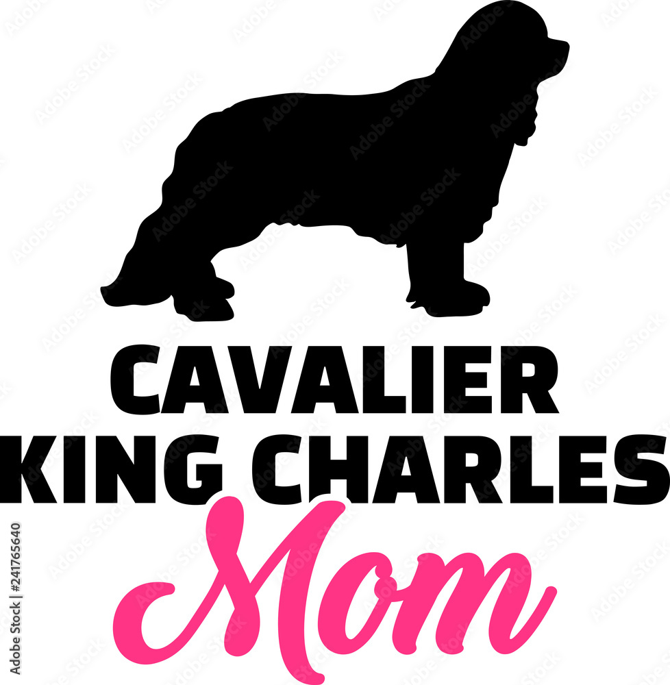 Cavalier King Charles mom pink