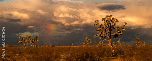 A vibrant sunrise in the high desert. photo