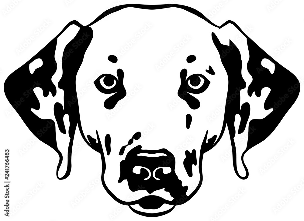 Obraz premium Dalmatian head