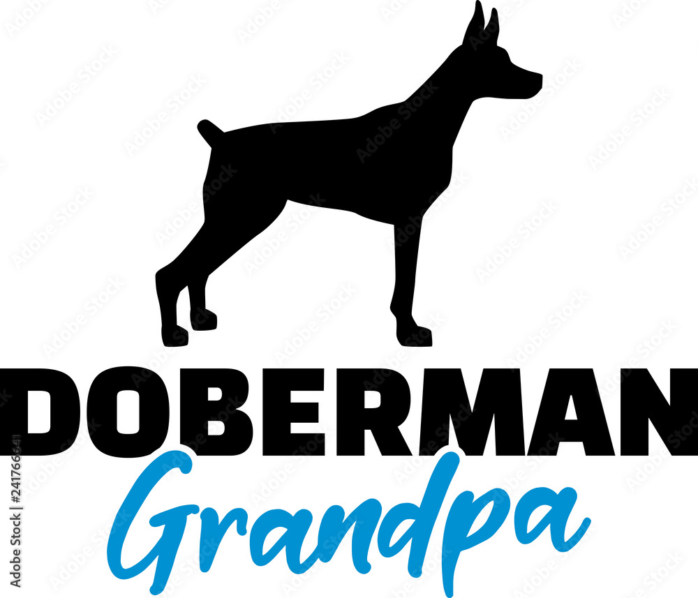 Doberman Grandpa blue