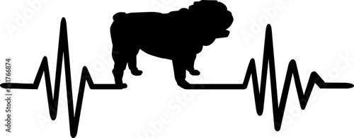 English Bulldog heartbeat