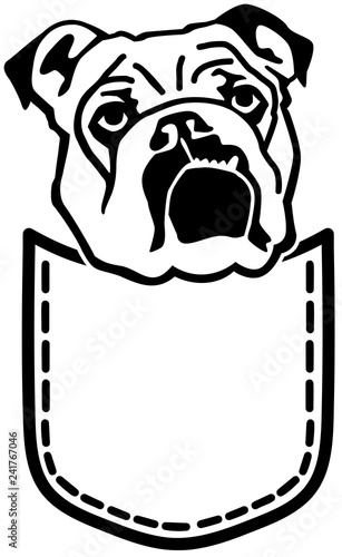 English Bulldog pocket