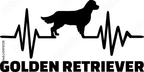 Golden Retriever frequency