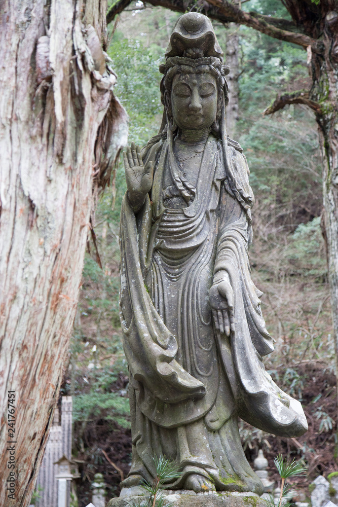 Buddha statue in Mount Koya Cemetery, Wakayama Japan